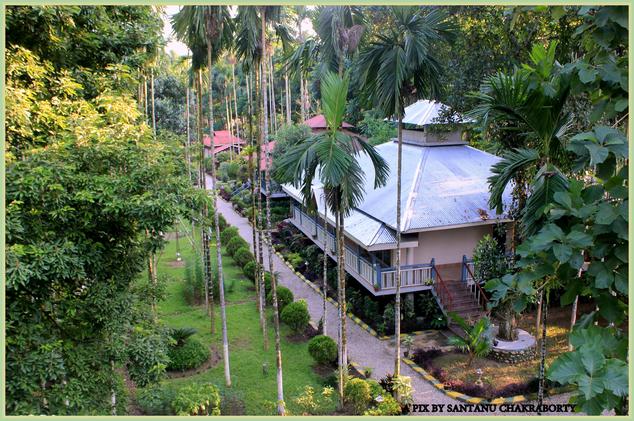 Aranya Jungle Resort 